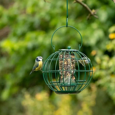 CJ Wildlife - London Squirrel Resistant Seed Feeder